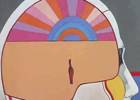 No han escuchado la frase “Este como que tiene venaos de colores en la cabeza”? por que yo tampoco.