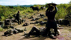 gameofgifs:  Countdown to Season 2 | Episode 1.05 - The Wolf and the Lion 