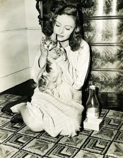 Sharontates:  Donna Reed Holds A Cute Kitty, C.1940’S 