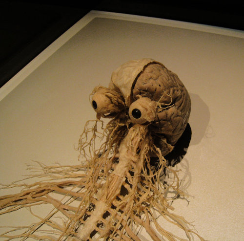 221b67gallifrey:  airandangels:  medicalschool:  The human brain and spinal nerves