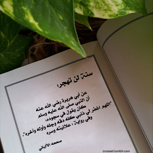 araseel:  عن أبي هريرة رضي الله عنه , أن النبي صلى