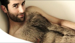 Mostly Hairy Hot Men