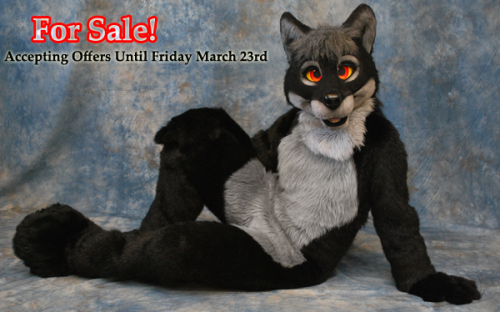 Wolf Suit FOR AUCTION, accepting bids/offers through Friday March 23rd at midnight.To place a bid 
