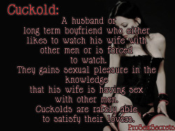 idickdownwives:  prosexsecrets: Cuckold definition 