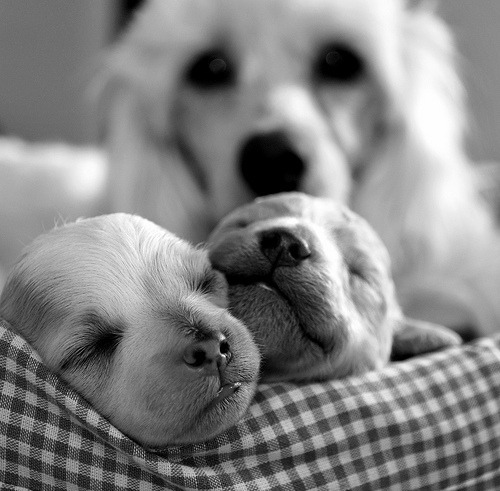 What is love?...