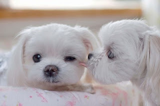 What is love?...