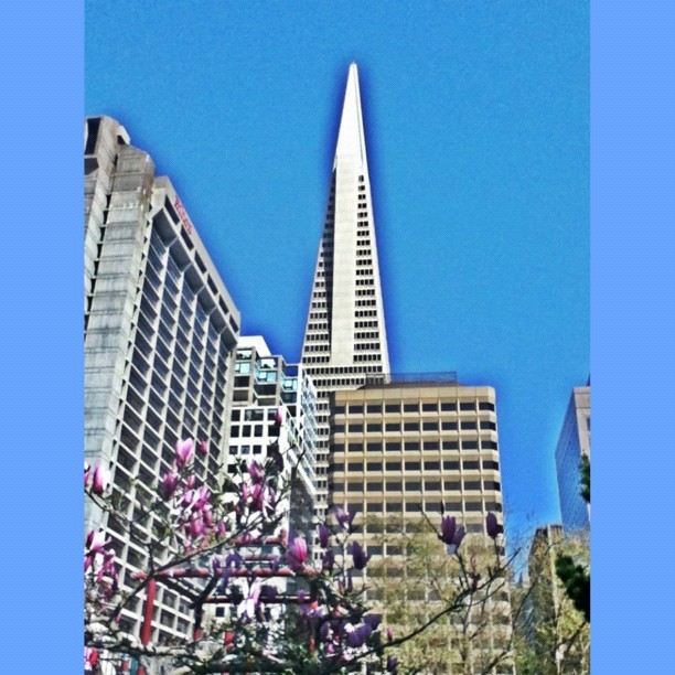 Transamerica Pyramid view from Chinatown #hdr #sanfrancisco #skyscraper (Taken with