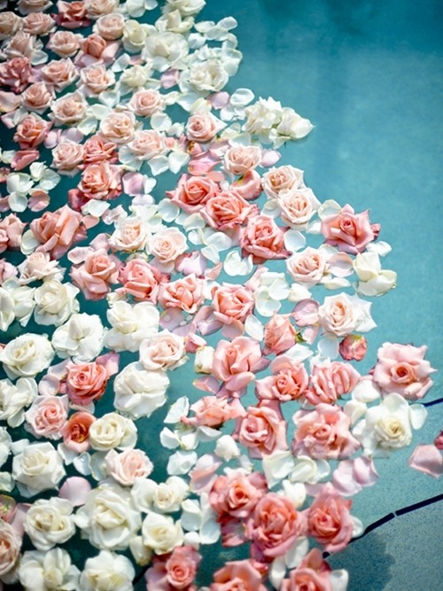 theeverydaygoth:  Lovely. :) 