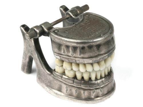 myampgoesto11:  French antique dental model by Vecabé from the 1920’s  