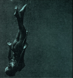 shadowandardentaquarium:  Japanese Ama Diver *descending* Underwater photograph by Fosco Maraini from the book Hekura, The Diving Girl’s Island 