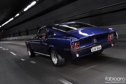 FuckYeahMustang
