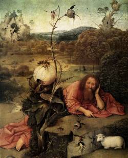 phassa:  Bosch - St John the Baptist in the Wilderness  Bulbi oculari, un corvo, un cd, due pesci volanti, la sbornia