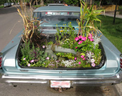 Dumpster-Dives:  Hey Kid…..Wanna Buy Some Plants? *Opens Trunk* 