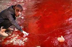 think-progress:  atlanticinfocus:  From World Water Day, one of 36 photos. Here, a journalist takes a sample of polluted red-colored water in the Jianhe River in Luoyang, Henan province, China, on December 13, 2011. According to local media, the sources