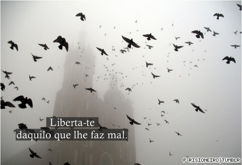 efêmer0