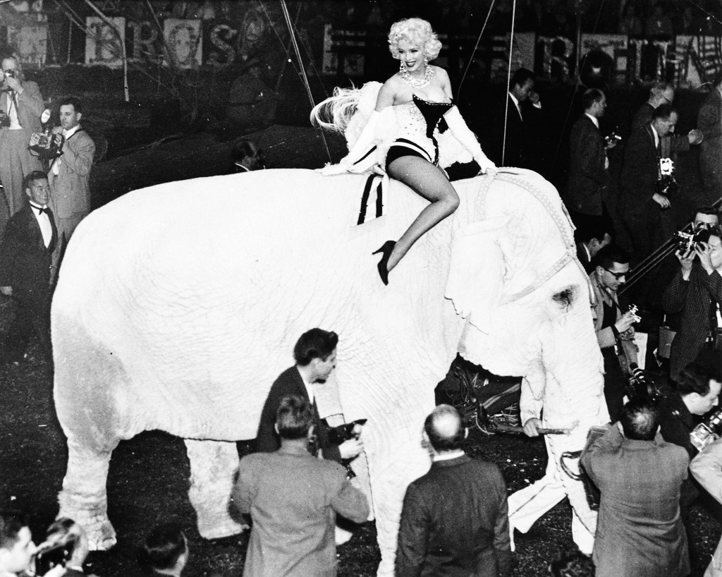 vintagegal:  Marilyn Monroe rides a pink elephant at the Barnum and Bailey Circus