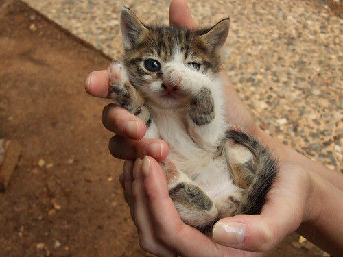 Hey, come here often?
