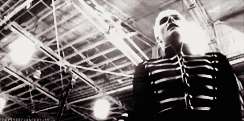 gerardwaysgay:  chemicaldrop:  iwantobelieveinaliens:  thankyouforthedildos:  partypetunia: