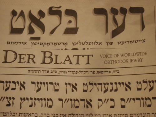 ludmirermoyd:Two Hasidic newspapers: an issue of Der Blat which I bought on March 15 and a