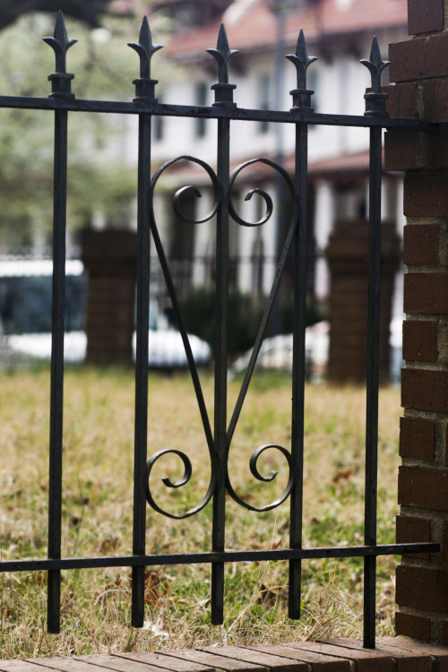 blackfeminism:   sourcedumal:  boygeorgemichaelbluth:  revolutionary-afrolatino:  howtobeterrell:  fearfullymade-locs:  breegant:  I wonder how many people overlook the sankofa symbols all around DC residential neighborhoods.   A lot of people do.  Mr.