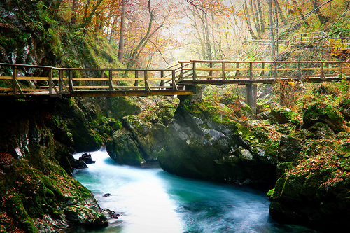 zombisexual:  “Light’s Path” (by Dan Ballard Photography) 