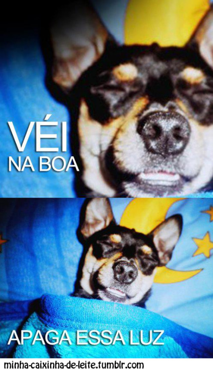 sossegodalma.tumblr.com/post/19749376083/