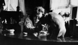 historiful:  Actor James Dean (1931-1955), 1955. 