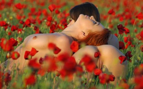 sosojuicy:  In the field.