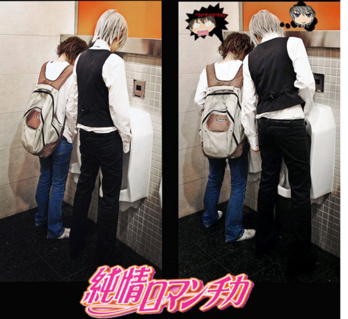   Otakus e Otomes:  Fujoshis/ Fudanshis:  