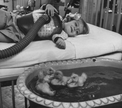 life:  Wow, this photo: A little girl receiving tests gazes into pool containing baby ducks — an early use of animals as part of medical therapy, 1956. (see more photos here) 