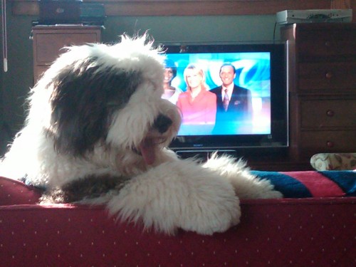 Barnaby watches Eyewitness News at Five.