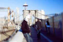  Bridge Bunny Jack Rabbit - New York City 2012 Alexanderguerra.com 