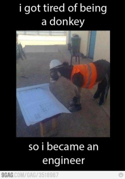 9gag:  Donkey Engineer 