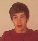 iheartplatypusesand1d:  drewhoran:  ↳ Liam Hair Evolution (2010-2012)  ohhh yesss