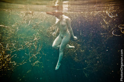 theresnoplacelikeyourmouth:  Underwater rainbow