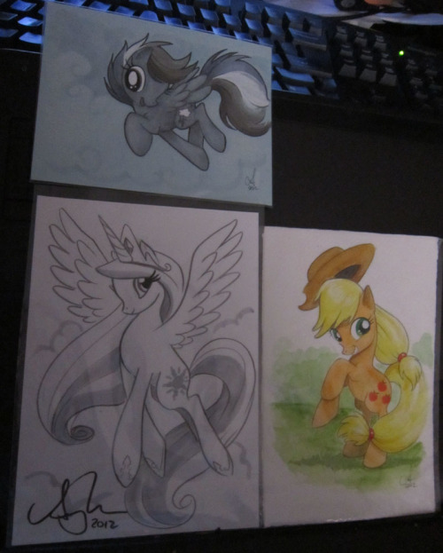 More Pony Art Swag from Wonder Con 2012. Pony art drawn by a lovely lady named Amy Mebberson. You can find her at amymebberson.blogspot.com