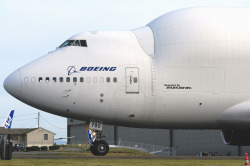 cameracurious:  Boeing DreamLifter N780BA