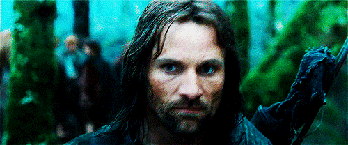 That moment when Aragorn’s self-esteem is brought down by a hobbit.#dear diary #today I overheard th