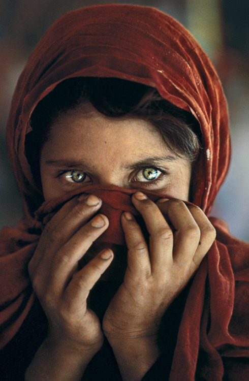 themaxdavis:  Sharbat Gula, Afghan Girl, Pakistan, 1984 by Steve McCurry 