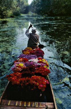 themaxdavis:  Flower Seller, Dal Lake, Kashmir,