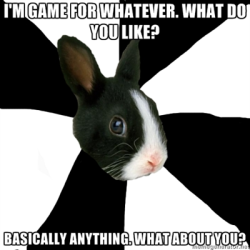 Fyeahroleplayingrabbit:  Lather, Rinse, And Repeat.  Oh Hey. This Sounds Familiar.