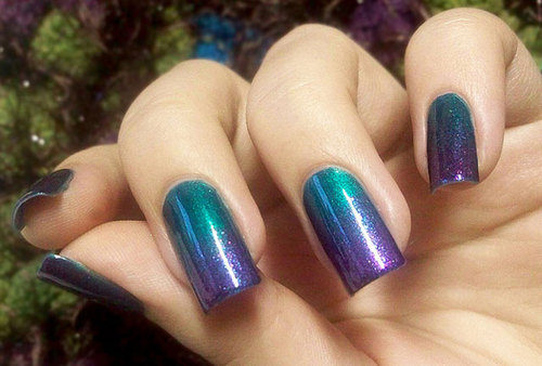 NAIL PORNOGRAPHY