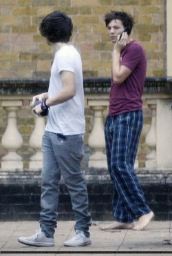 julia-christina:  Louis’ bum. That is all. 