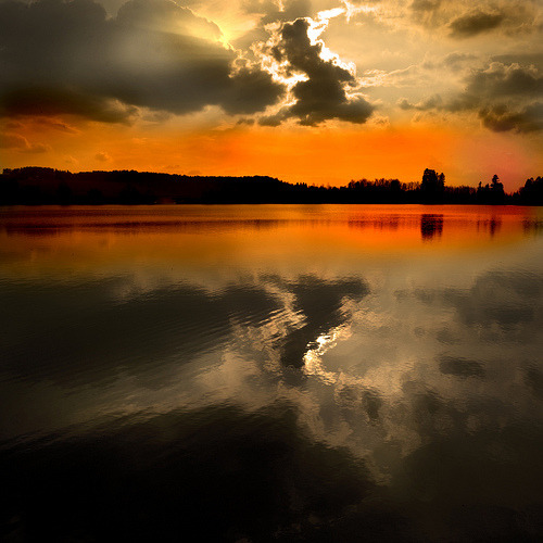 llbwwb:  Golden Tequila Sunrise (by BRONCO ©)