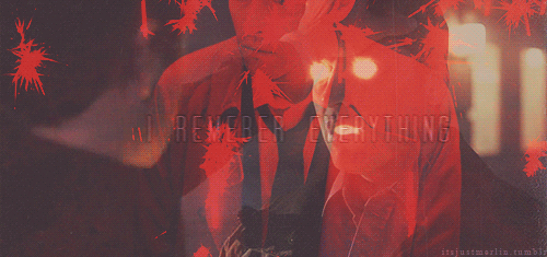 amelliwood:I remember everything.