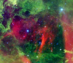 n-a-s-a:  Hot Stars in the Rosette Nebula