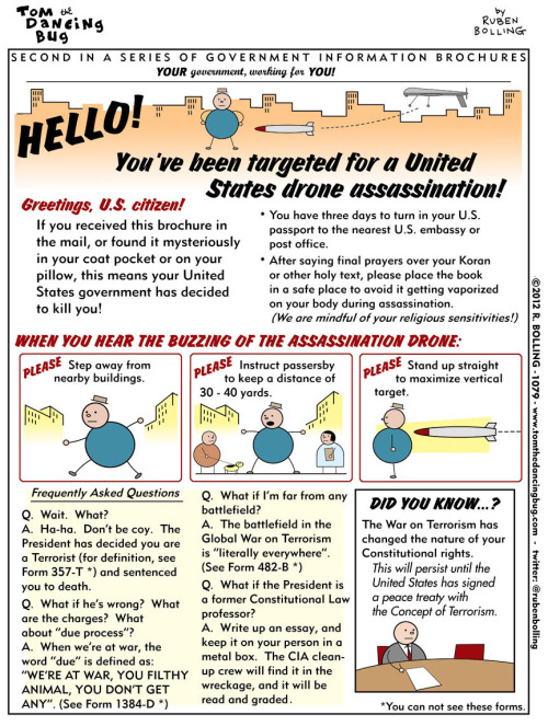 Assassination Drone Infographic