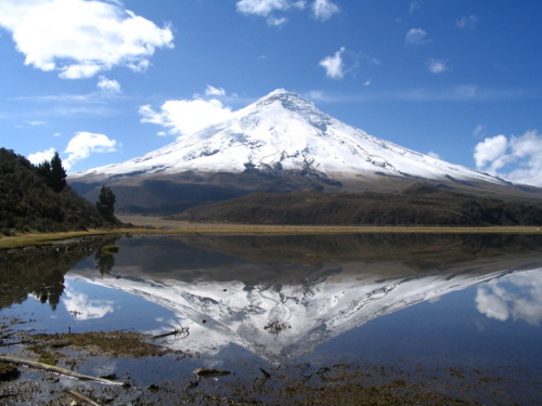 LES RECABE GRINGAS LATINOAMERICA ES HERMOSA .I.