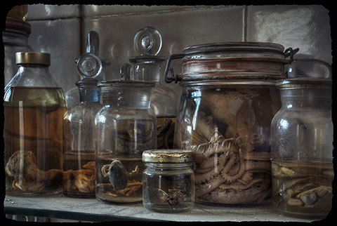 moshita:  the horrors museum & the dark hospital Alicia Ruis 