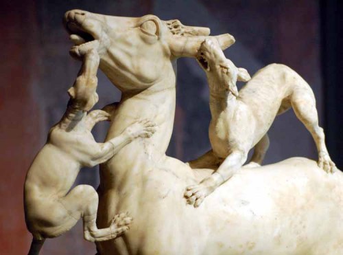knockingghosts: Deer hunted by dogs, one of  a pair of sculptures—from Napoli.